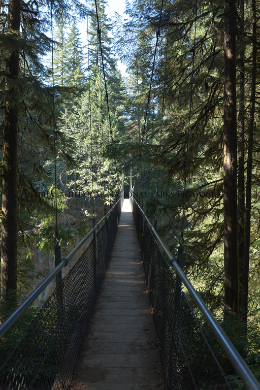 Suspension bridge at Drift Creek Falls in Oregon, scenic forest elopement location
