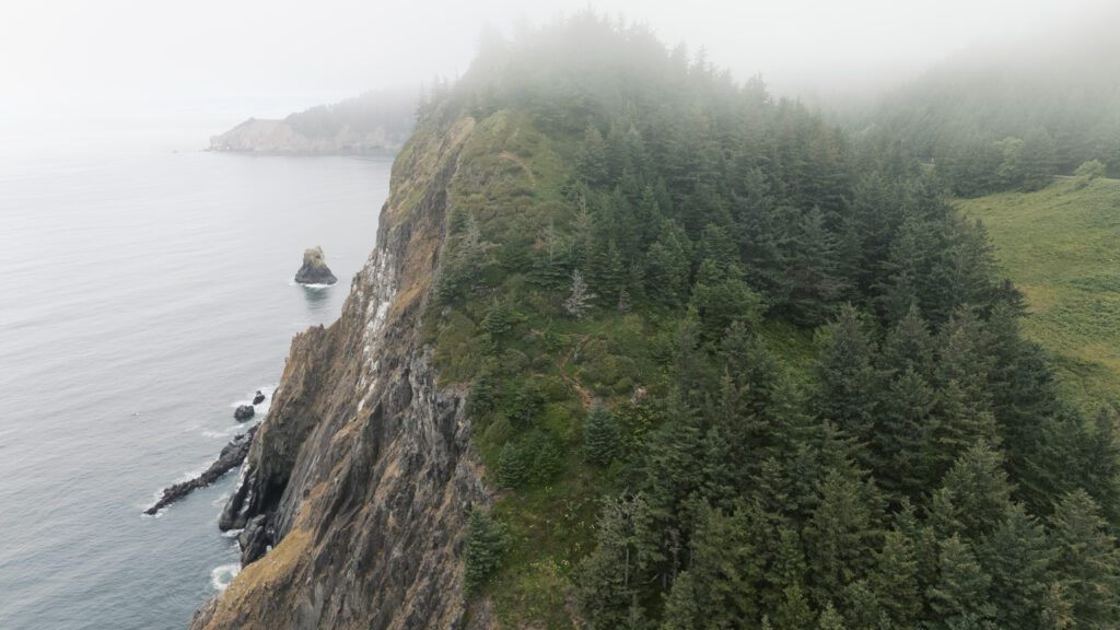 A mountain covered with trees on the Oregon Coast