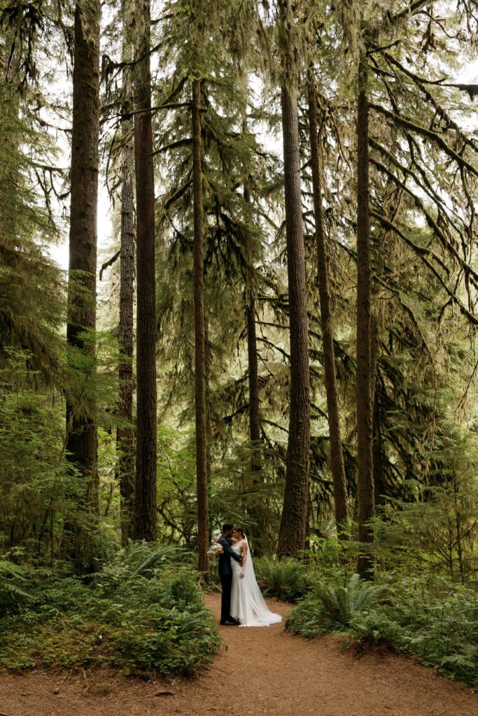 A bride and groom standing amongst tall redwood trees on the Oregon Coast