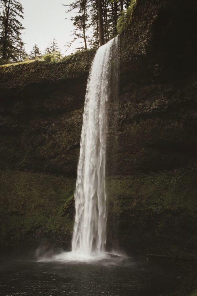 Tall waterfall surrounded by forest at Silver Falls State Park, scenic Oregon elopement backdrop