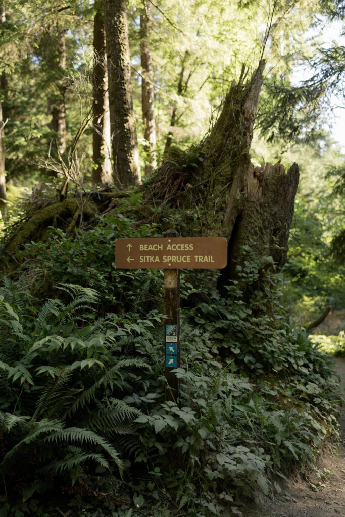 A trail sign pointing to beach access on the Short Sands Beach trail. 